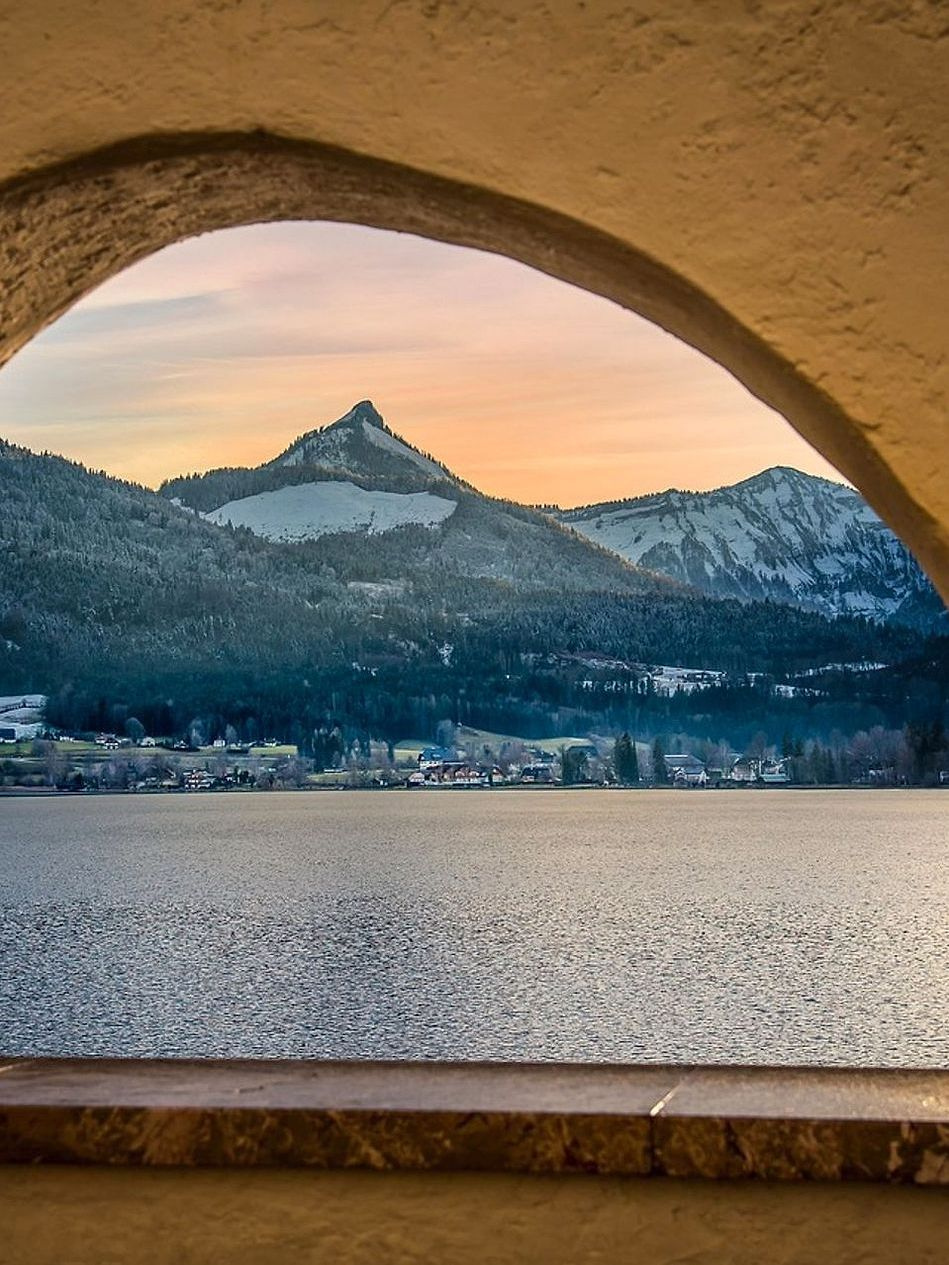 Árvores à beira do lago